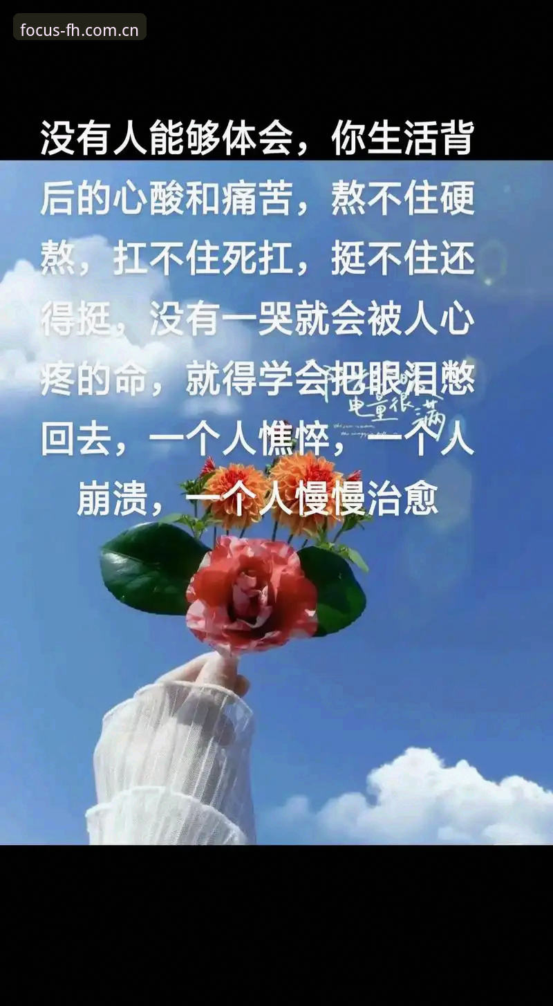 旧版不兼容别硬扛，认真投入一场转fhyity的实用避坑指南